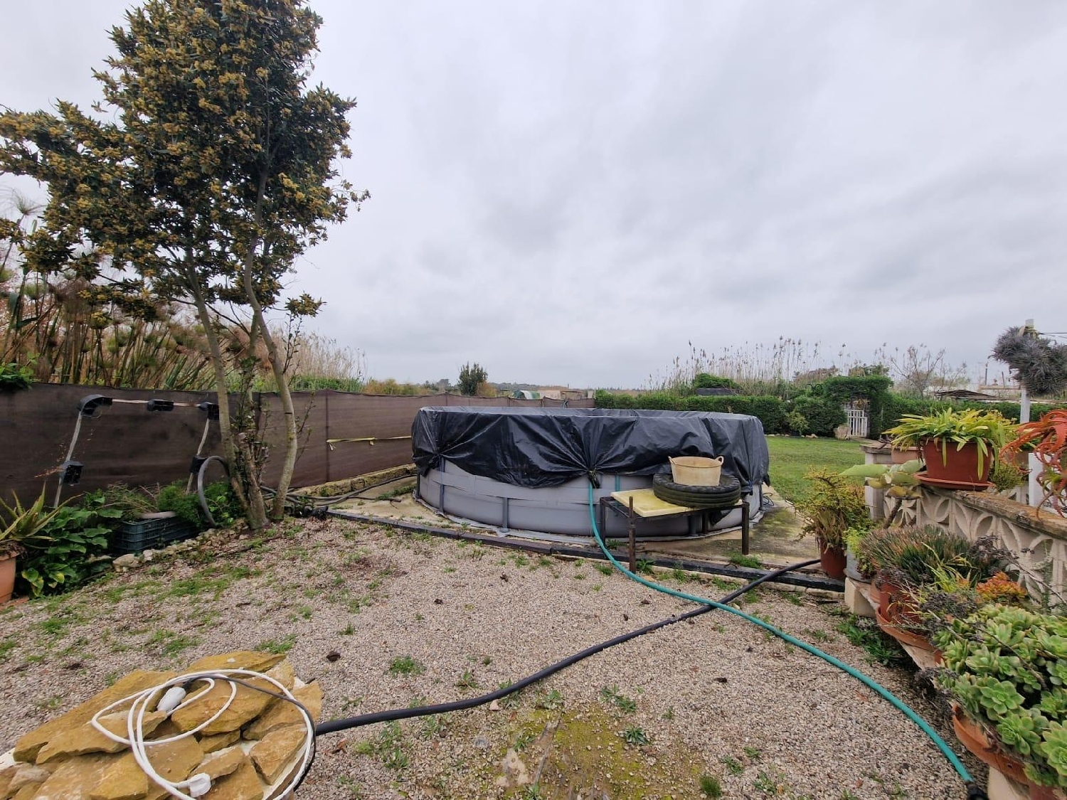  kaufen Landhaus Muro Nord 6