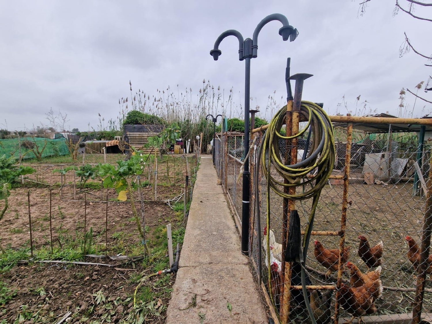  kaufen Landhaus Muro Nord 5