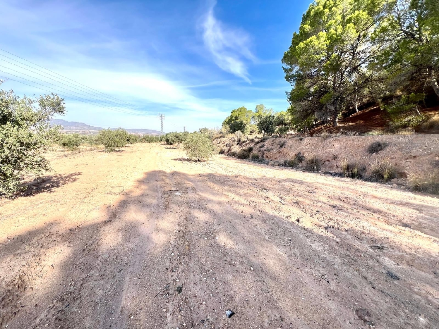  en venta finca rústica Pinoso Vinalopó Mitjà 7