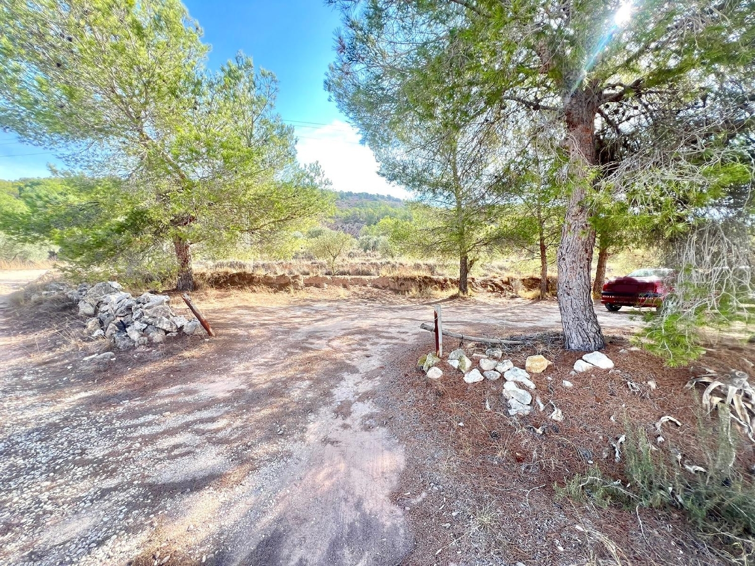  en venta finca rústica Pinoso Vinalopó Mitjà 3