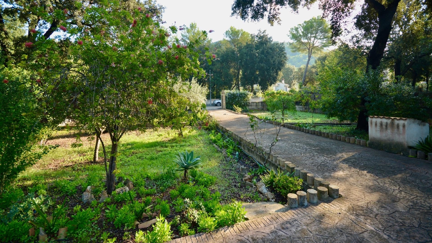  à vendre maison de campagne Sa Pobla Nord 6