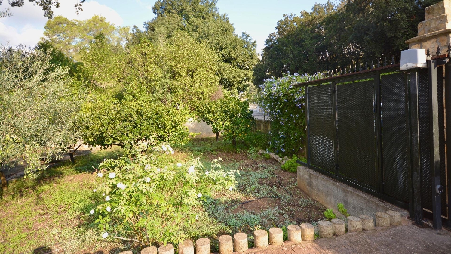  à vendre maison de campagne Sa Pobla Nord 8