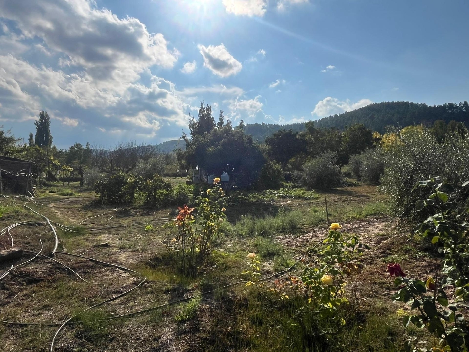 for sale country house Valderrobres Matarraña 4