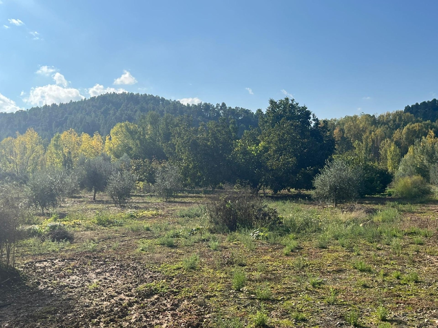 for sale country house Valderrobres Matarraña 3