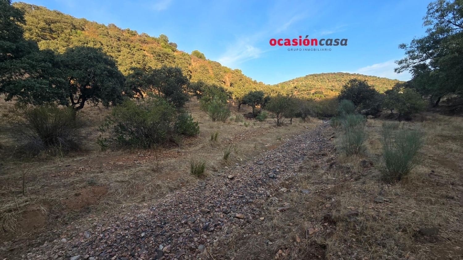  en venta finca rústica Villanueva Del Rey Valle Del Guadiato 6