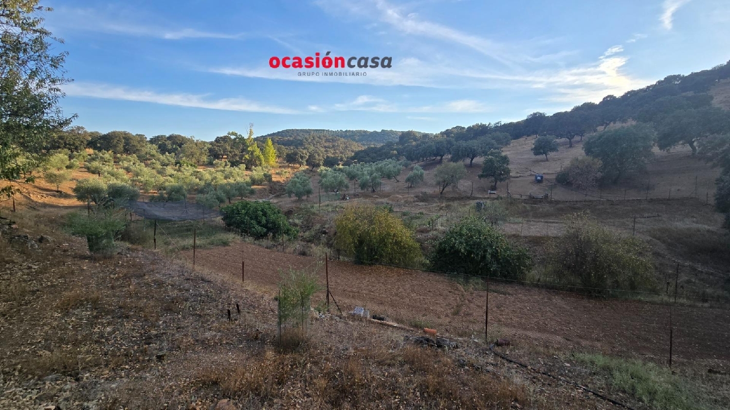 en venta finca rústica Villanueva Del Rey Valle Del Guadiato 3