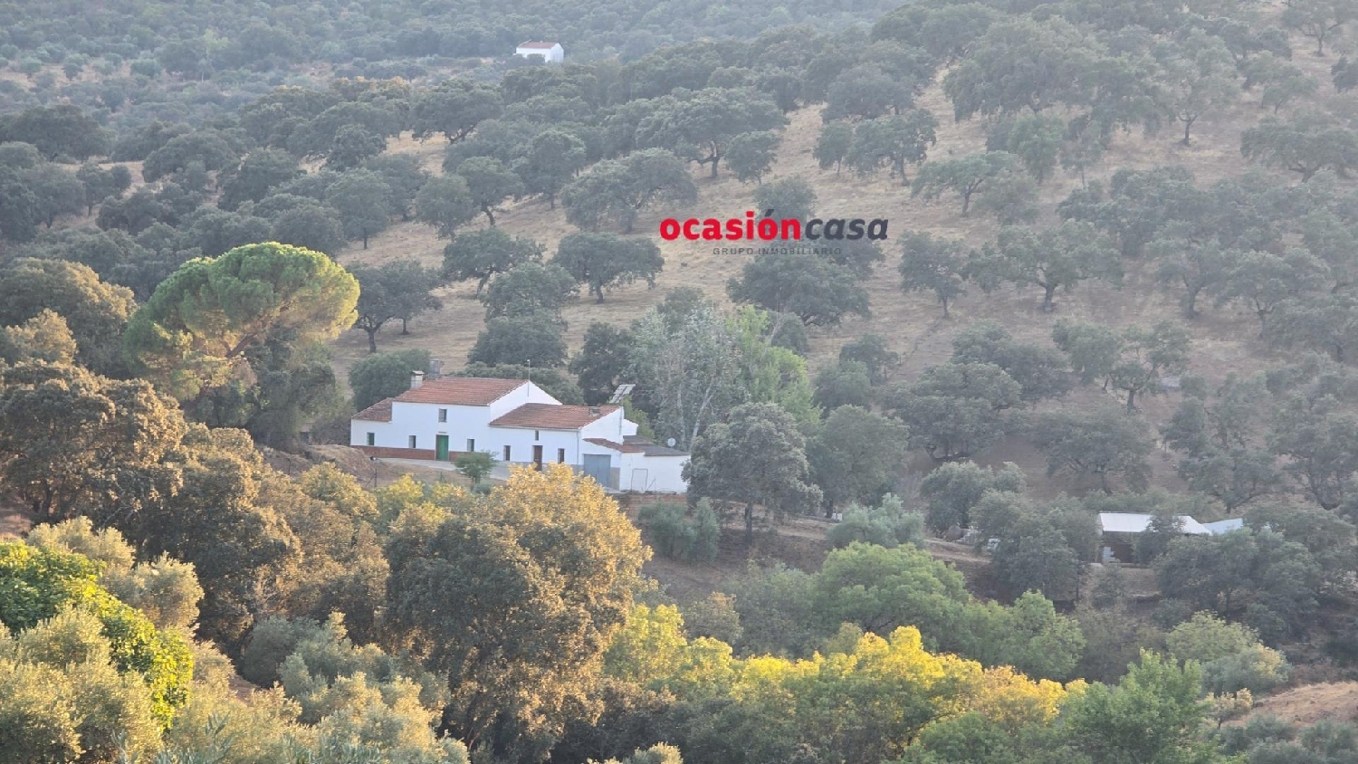  en venta finca rústica Villanueva Del Rey Valle Del Guadiato 2