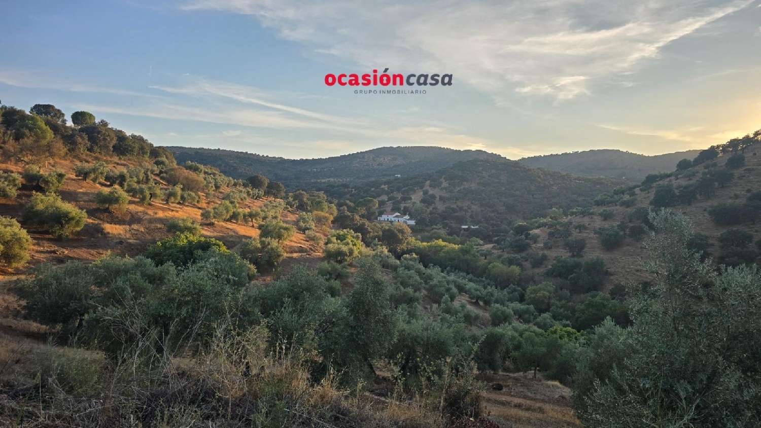  en venta finca rústica Villanueva Del Rey Valle Del Guadiato 1