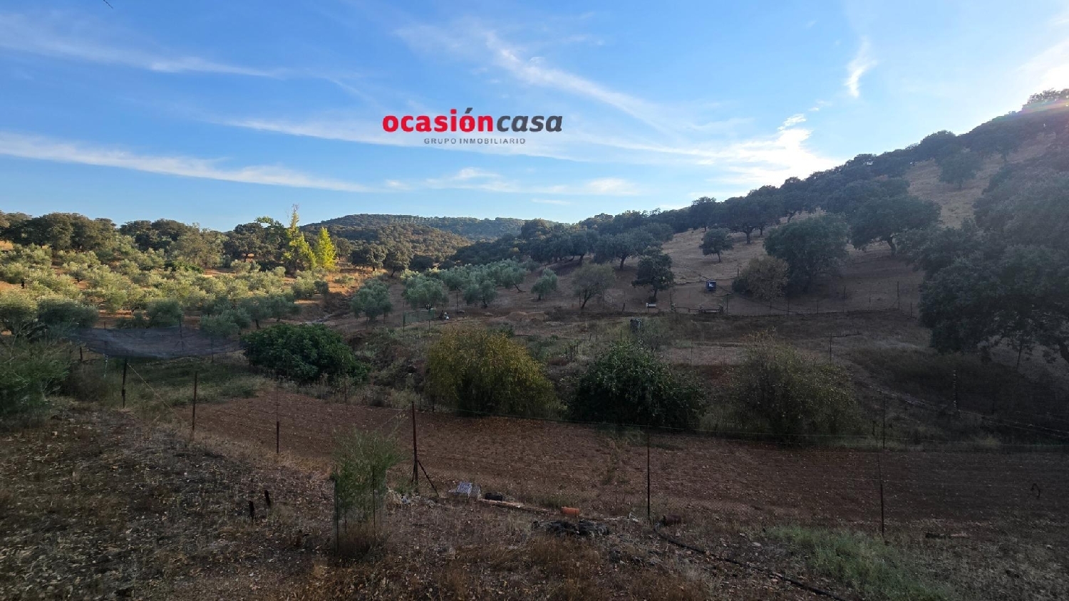  en venta finca rústica Villanueva Del Rey Valle Del Guadiato 4