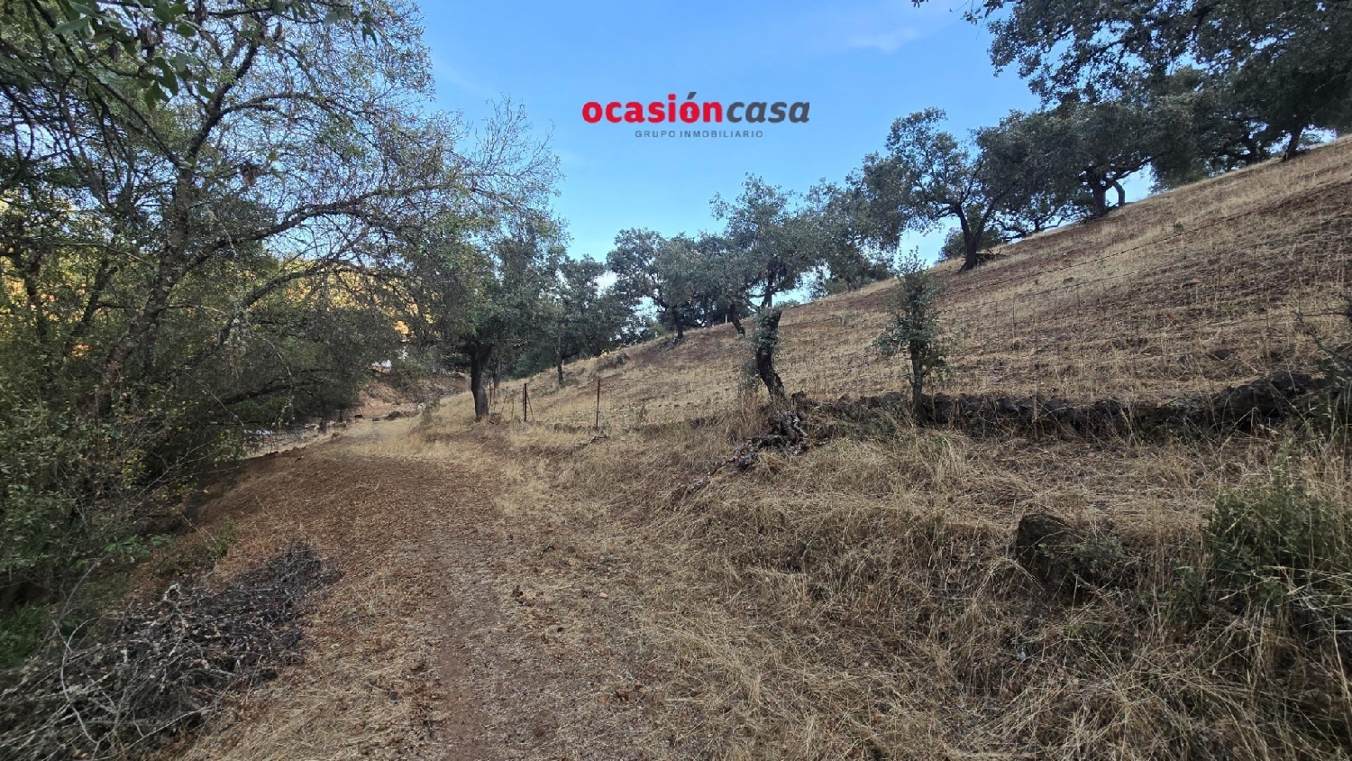  en venta finca rústica Villanueva Del Rey Valle Del Guadiato 7