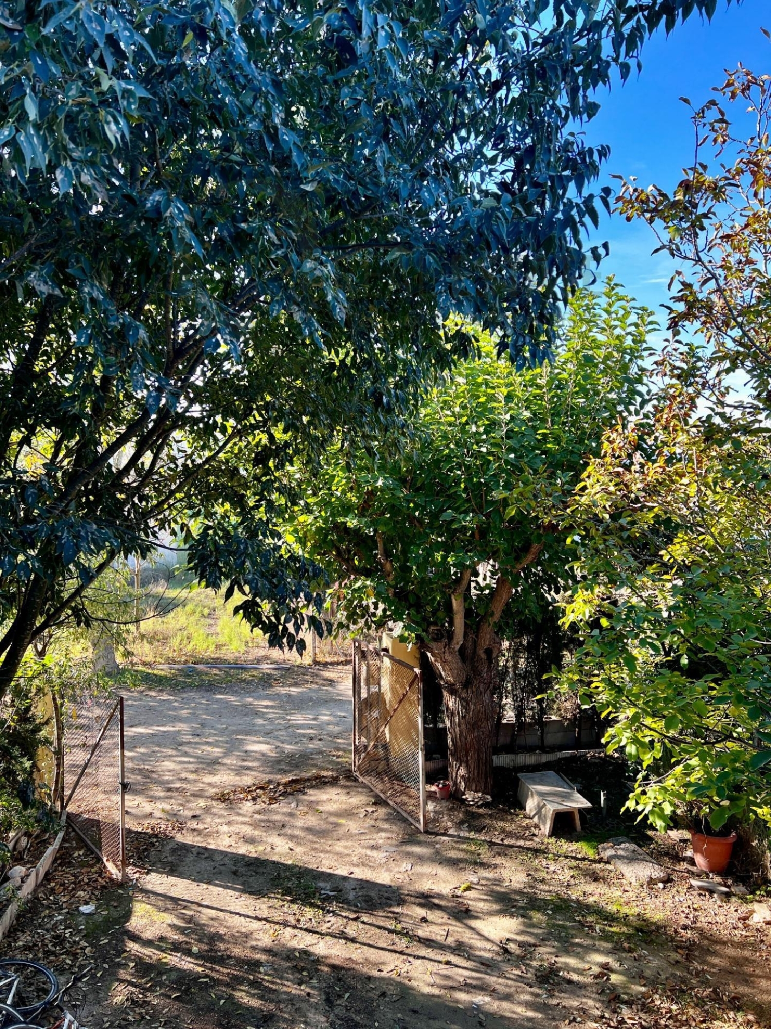  for sale country house Villena Alt Vinalopó 2