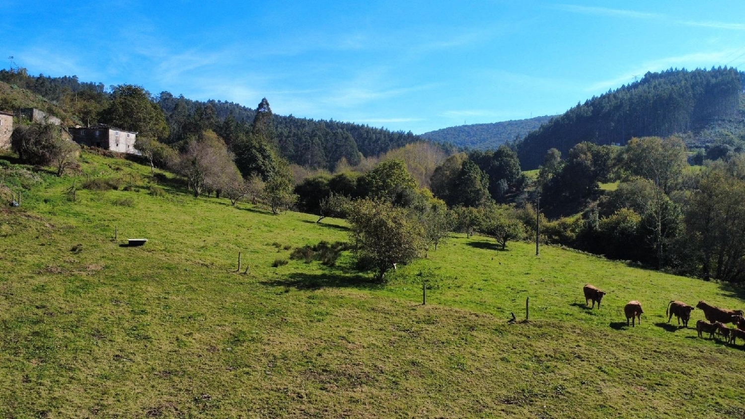 till salu hus på landet Viveiro Mariña Occidental 2