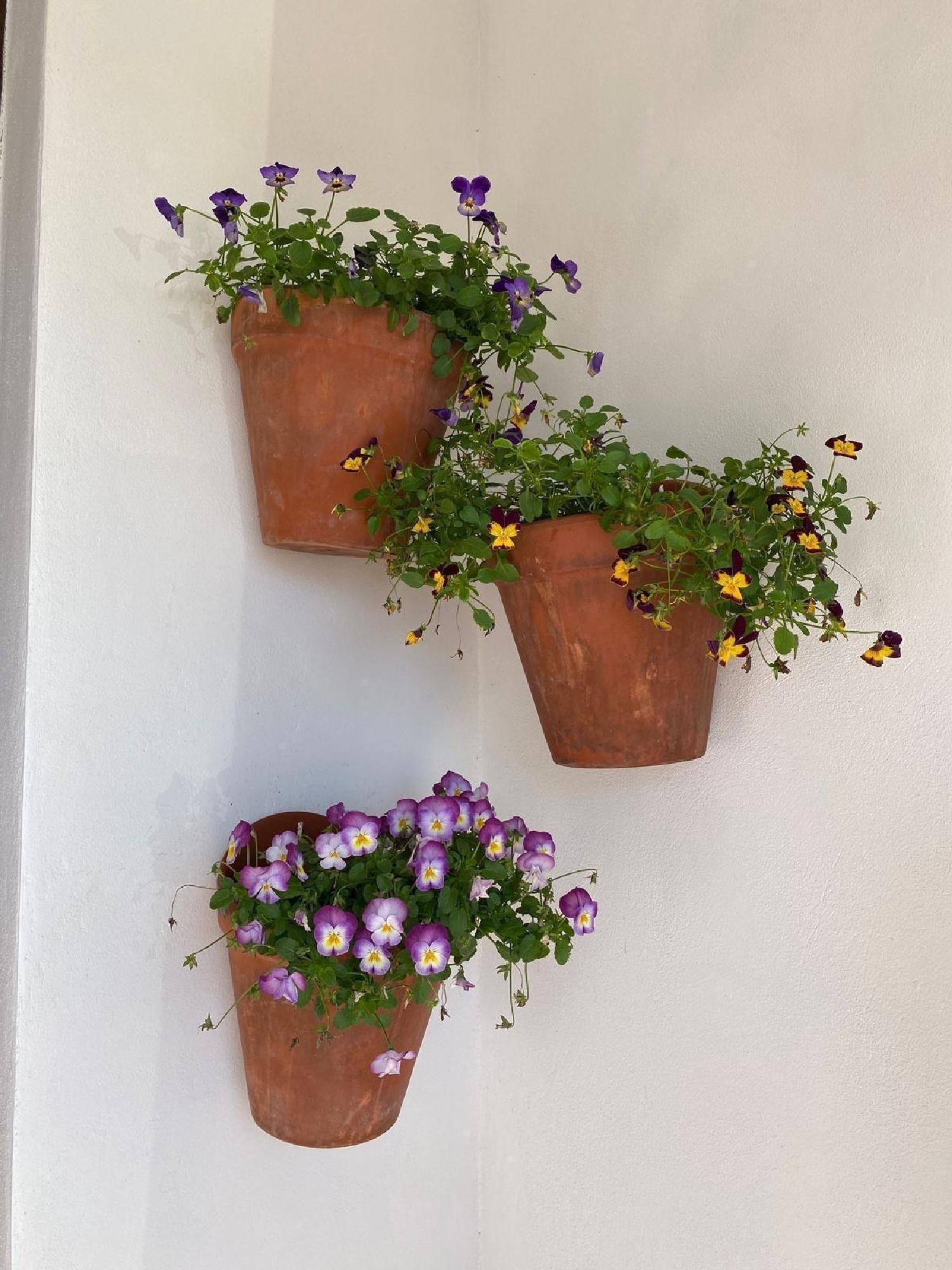 à vendre maison Aznalcázar Aljarafe 2