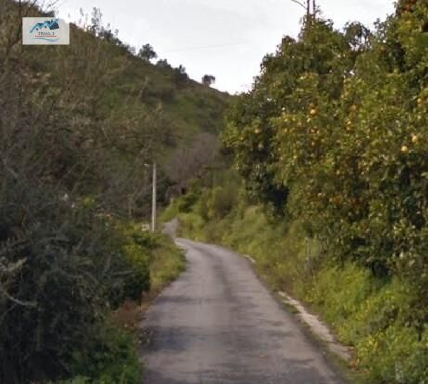  en venta casa Canillas De Aceituno Axarquía 2