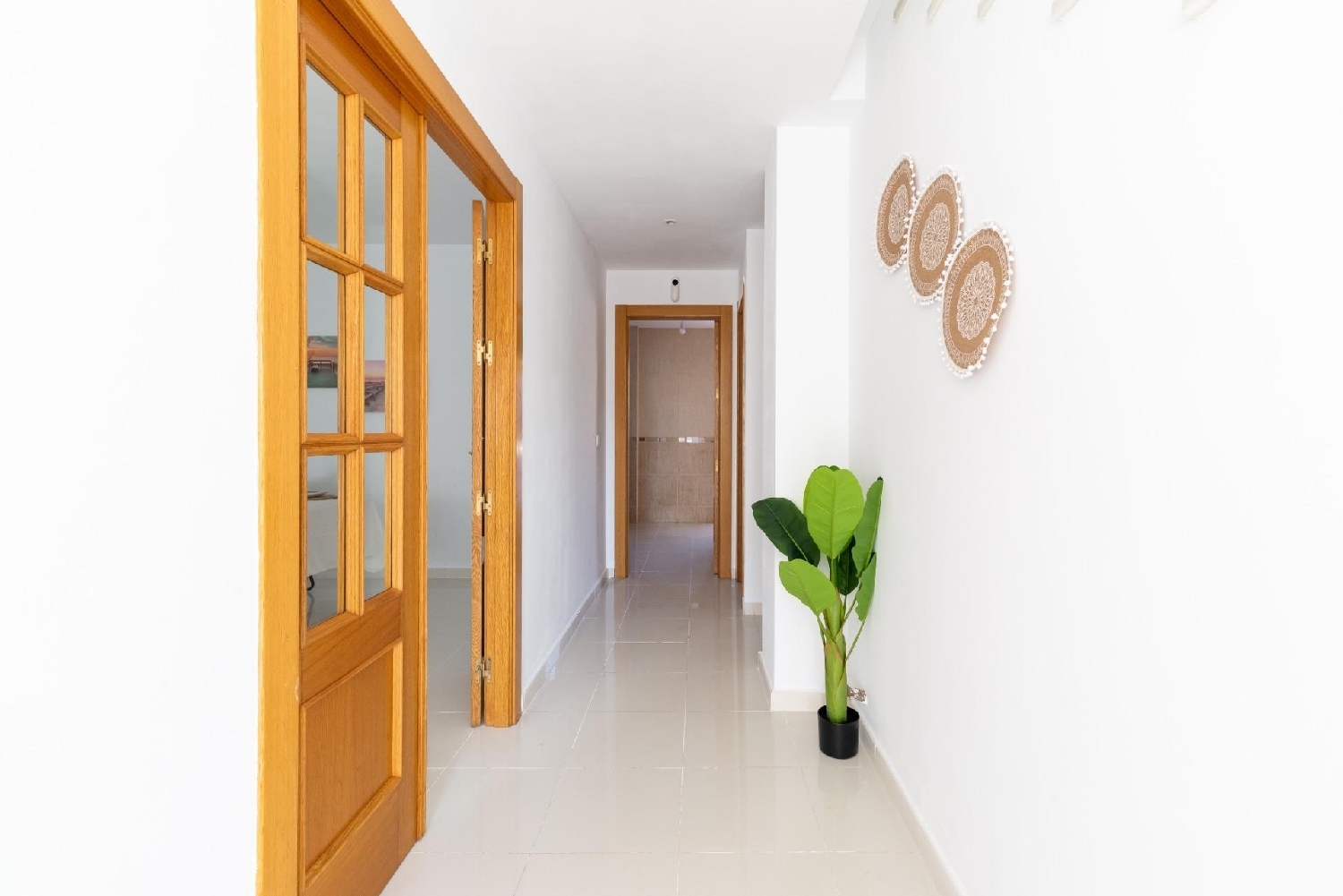  à vendre maison Cijuela Vega De Granada 5