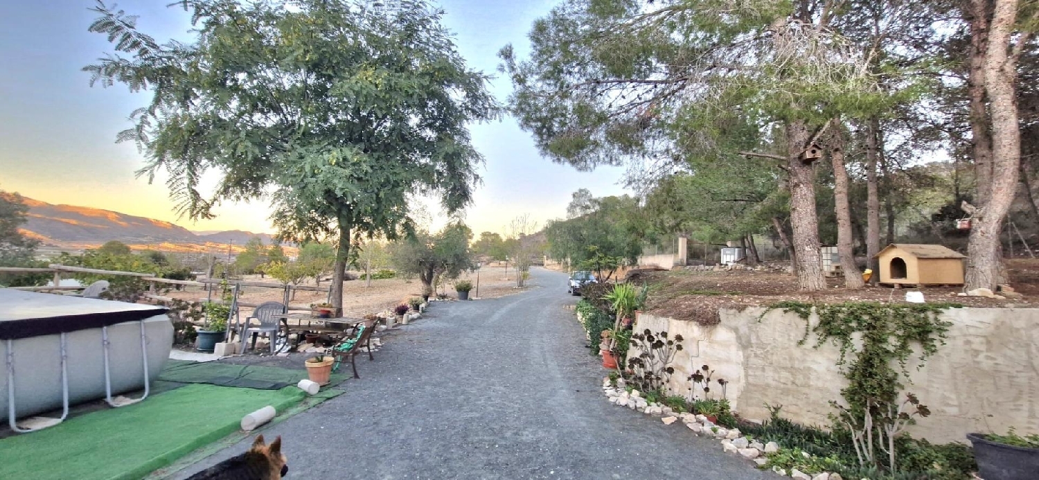  for sale house Hondón De Las Nieves Vinalopó Mitjà 6