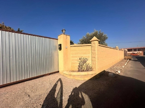 Palmeria Marina Alta casa foto 6323329