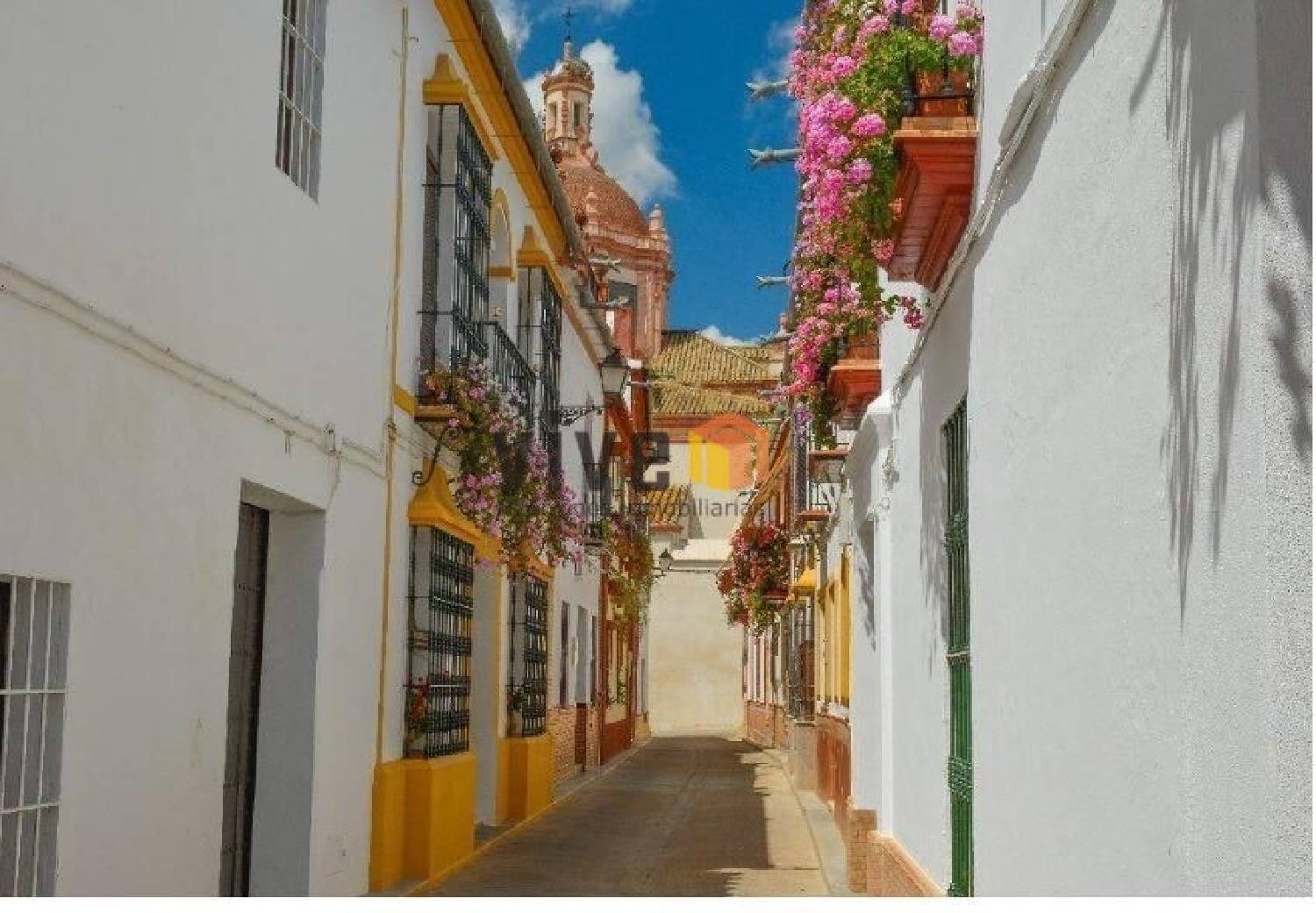  en venta casa Peñaflor Vega Del Guadalquivir 5