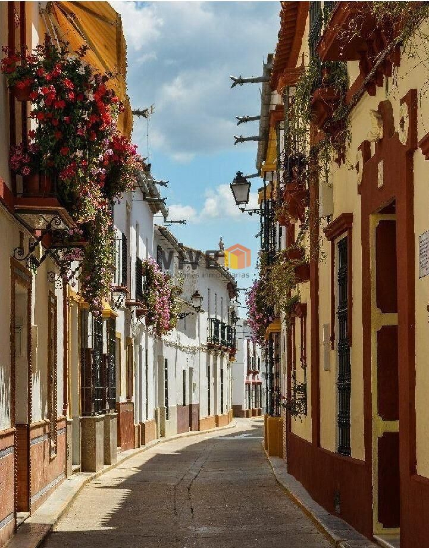  en venta casa Peñaflor Vega Del Guadalquivir 6
