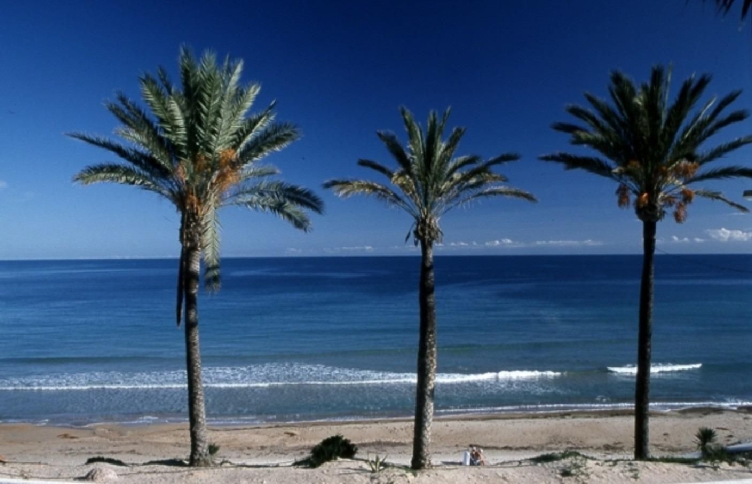  for sale house Pilar De La Horadada Baix Segura 9