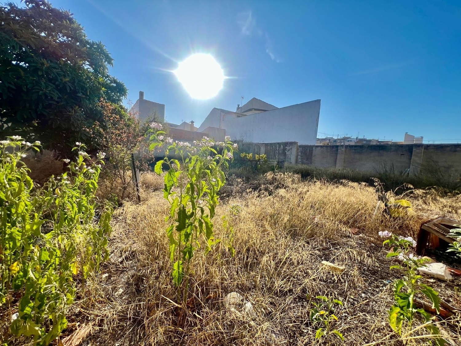  en venta casa Pinoso Vinalopó Mitjà 7