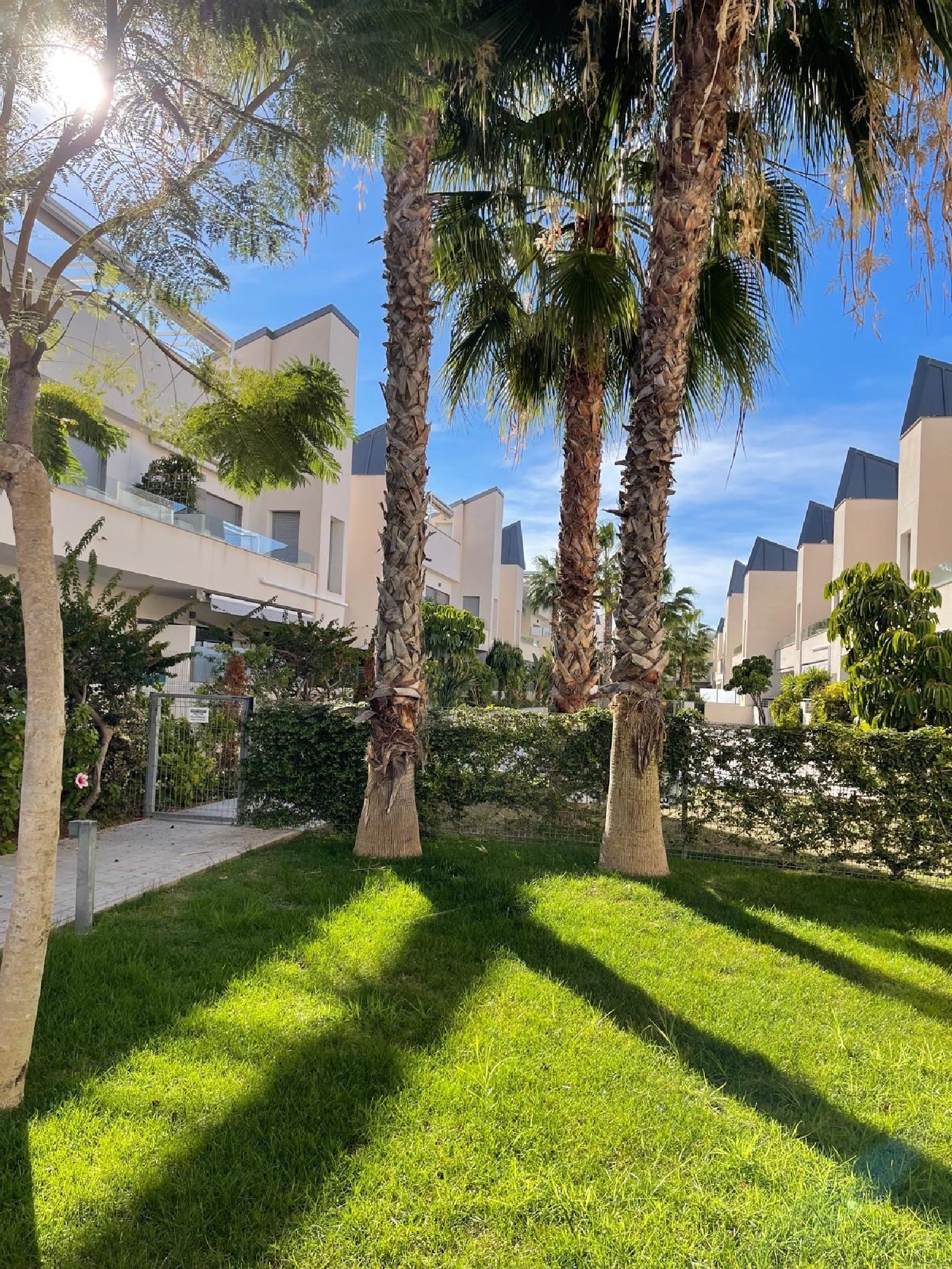  for sale house Torrevieja Baix Segura 2