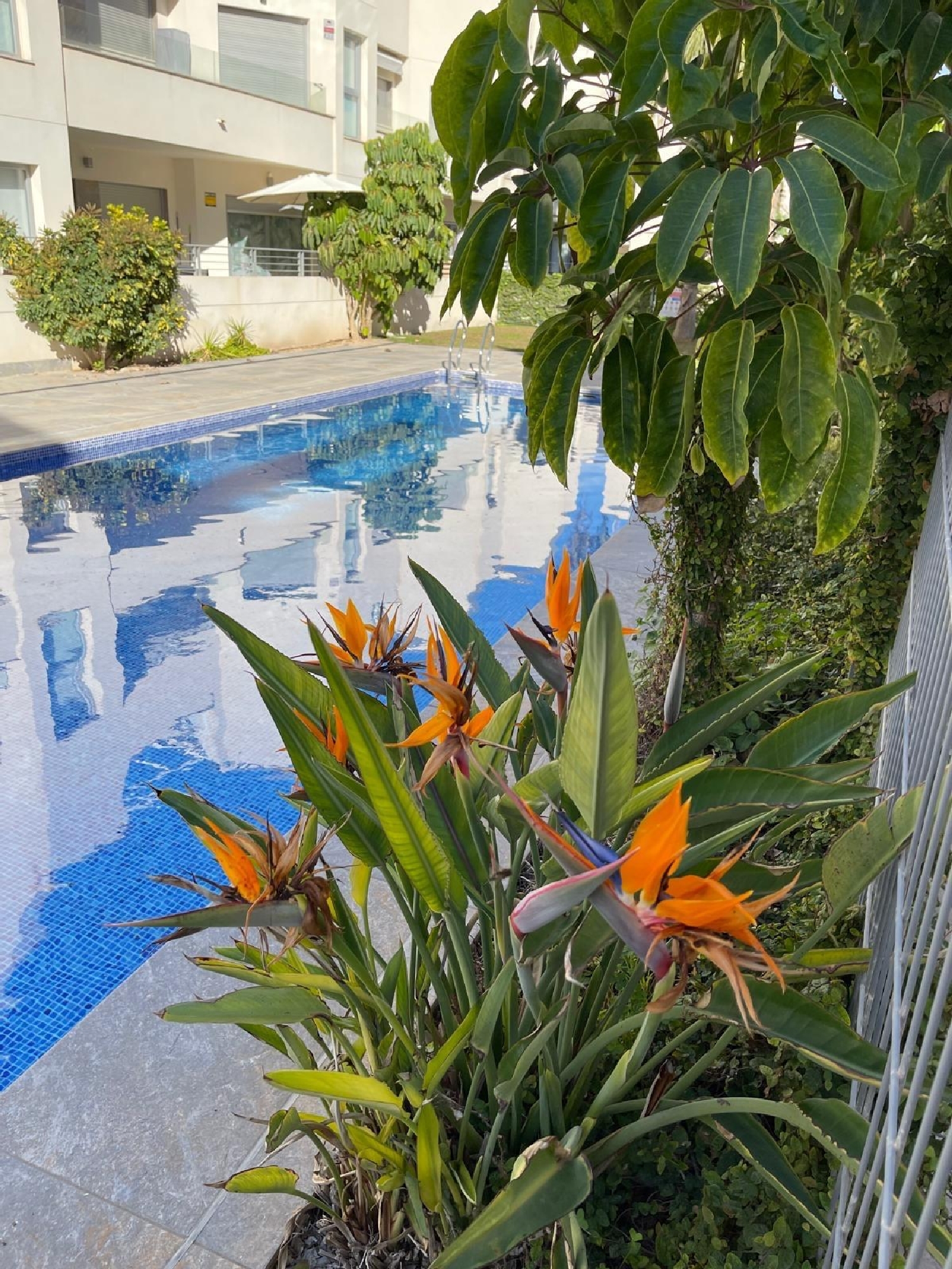  for sale house Torrevieja Baix Segura 3