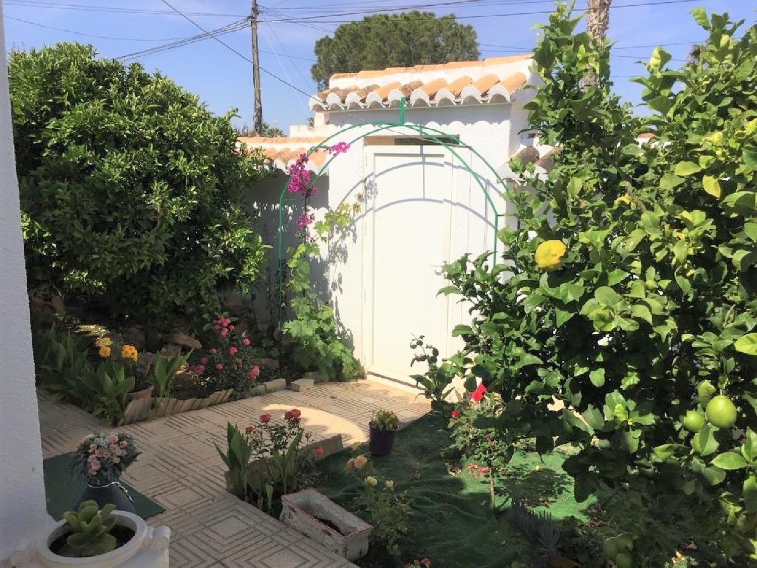  for sale house Torrevieja Baix Segura 6