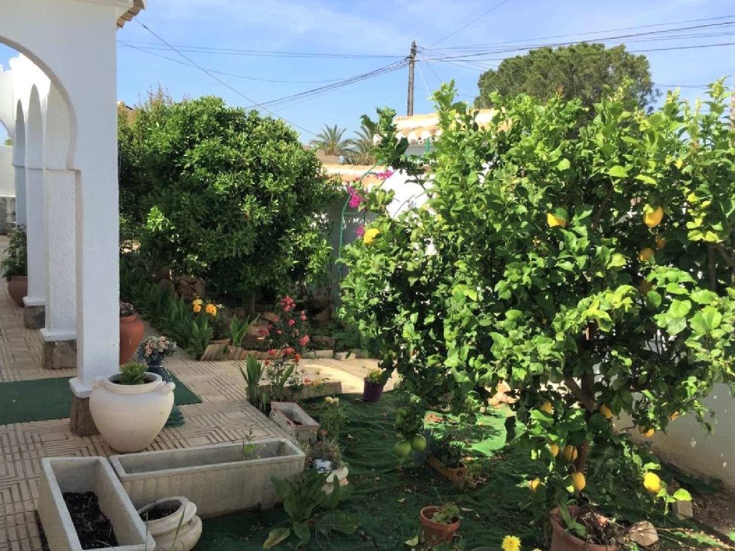  for sale house Torrevieja Baix Segura 5