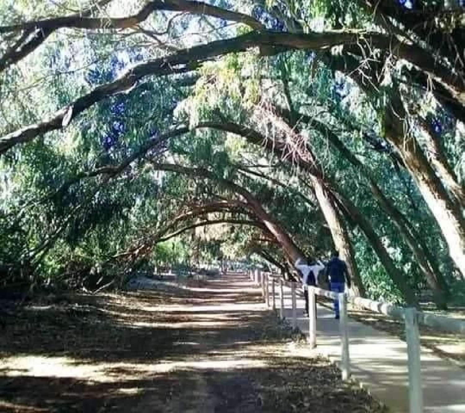  kaufen Haus Torrevieja Baix Segura 10