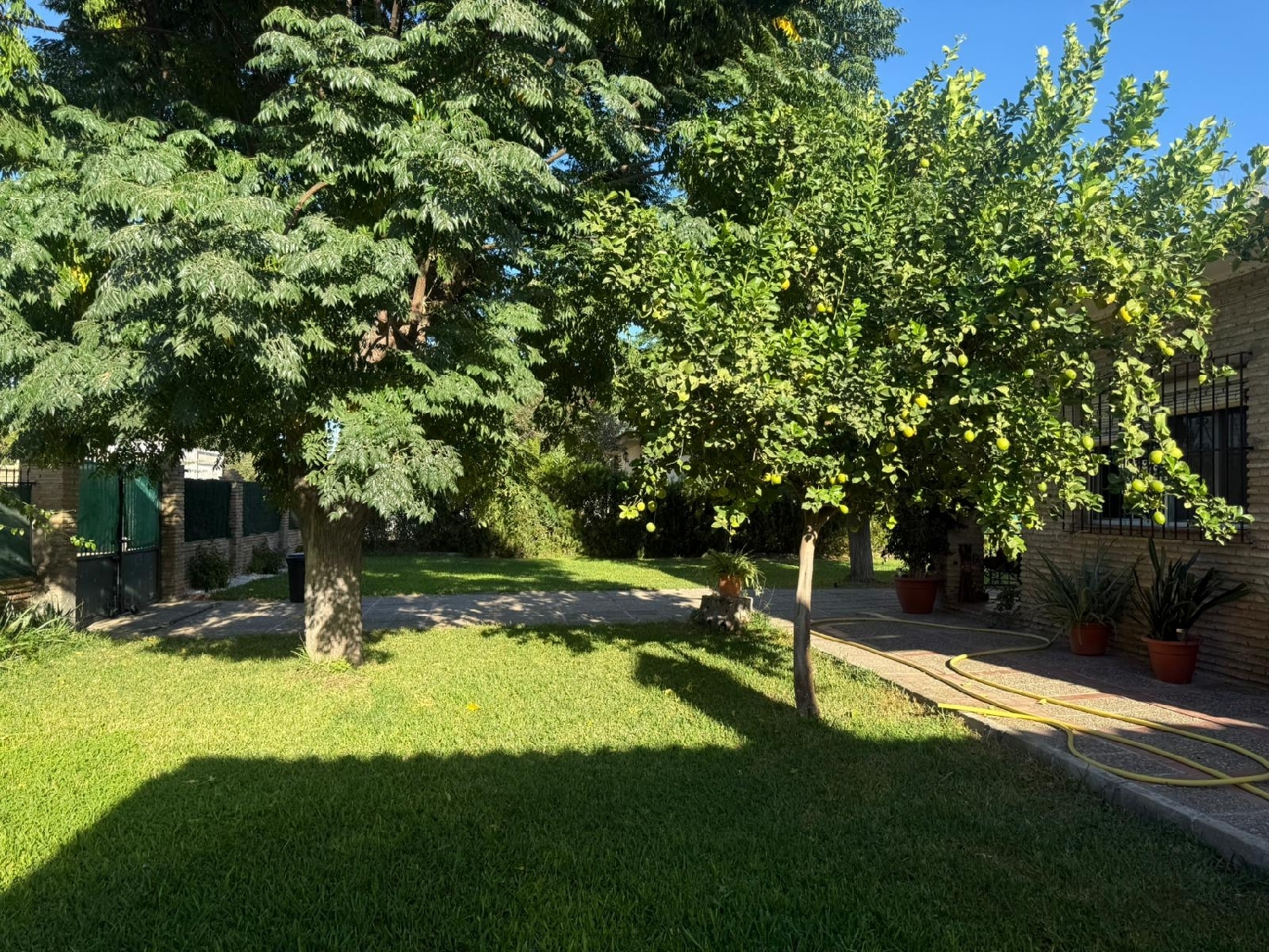  à vendre maison Utrera Bajo Guadalquivir 6