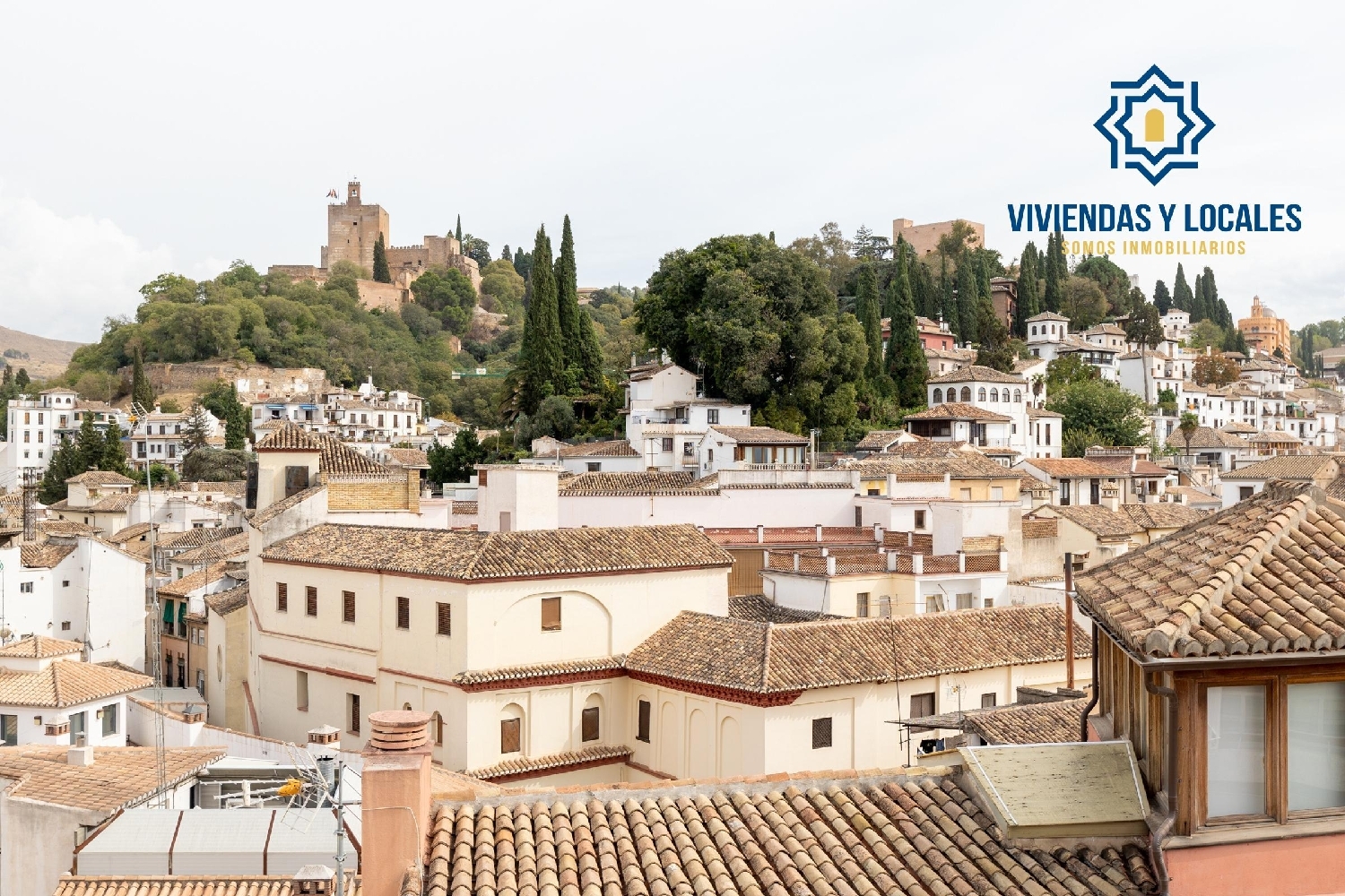  en venta oficina Barrio De Granada Alacantí 1