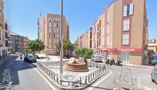 Palmeria Marina Alta oficina foto 6320588