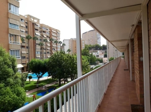 Alicante Centro 03001 Alacantí takvåning foto 6322791