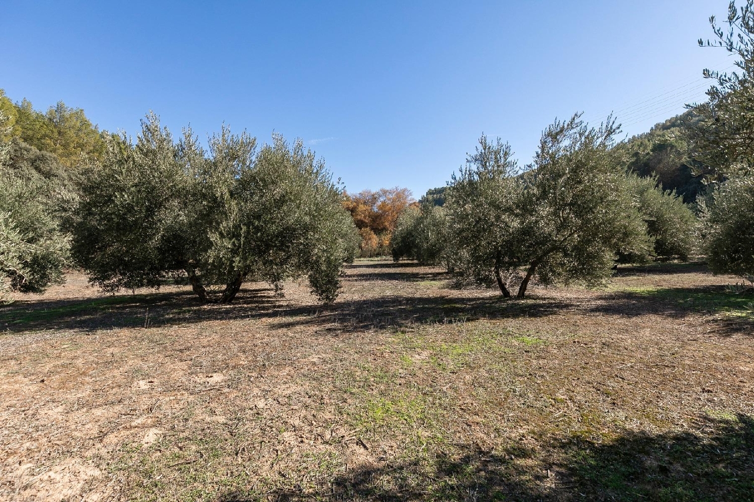  for sale plot Albolote Vega De Granada 2