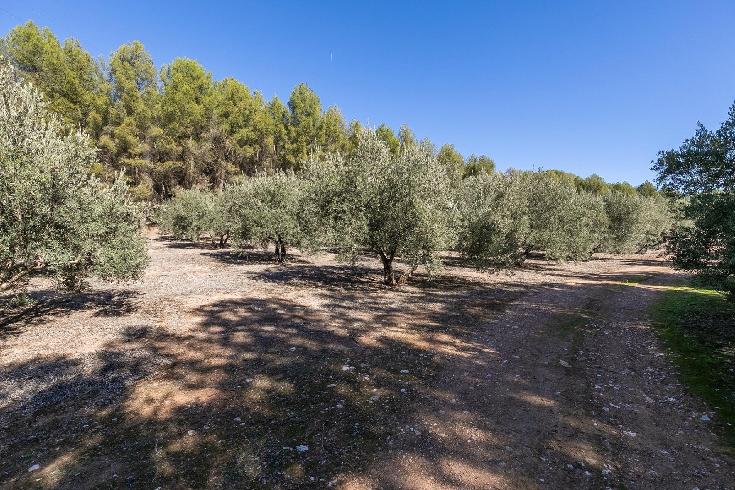  for sale plot Albolote Vega De Granada 7