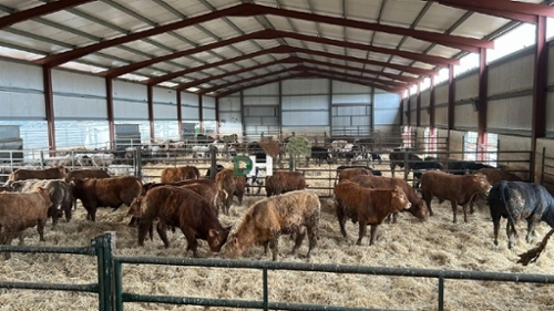 Aquelavila Arzúa plot foto 6323774