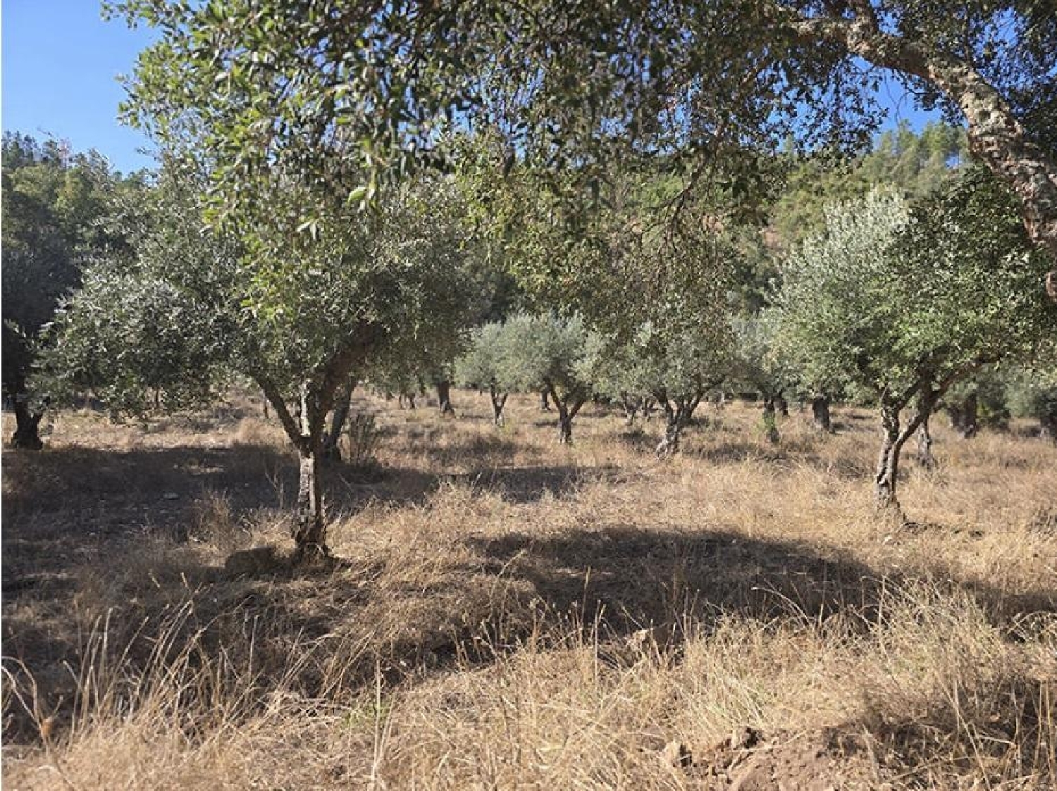 till salu tomt Badajoz Casco Antiguo-Centro Badajoz 2