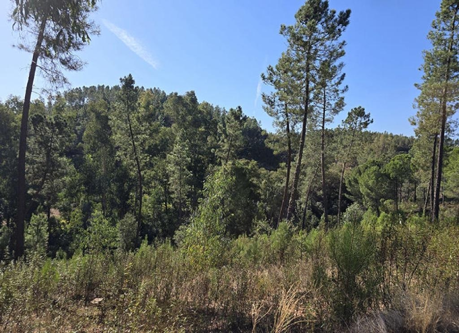 till salu tomt Badajoz Casco Antiguo-Centro Badajoz 6