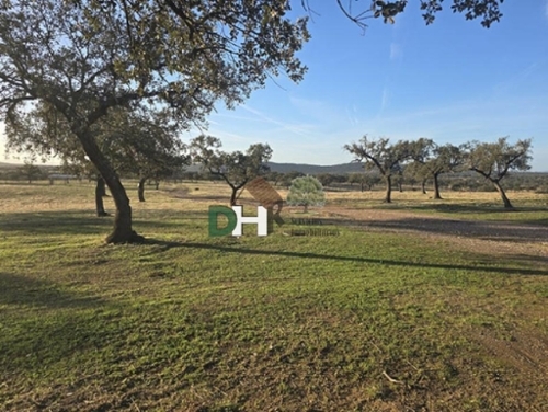 Badajoz Casco Antiguo-Centro Badajoz terreno foto 6323693