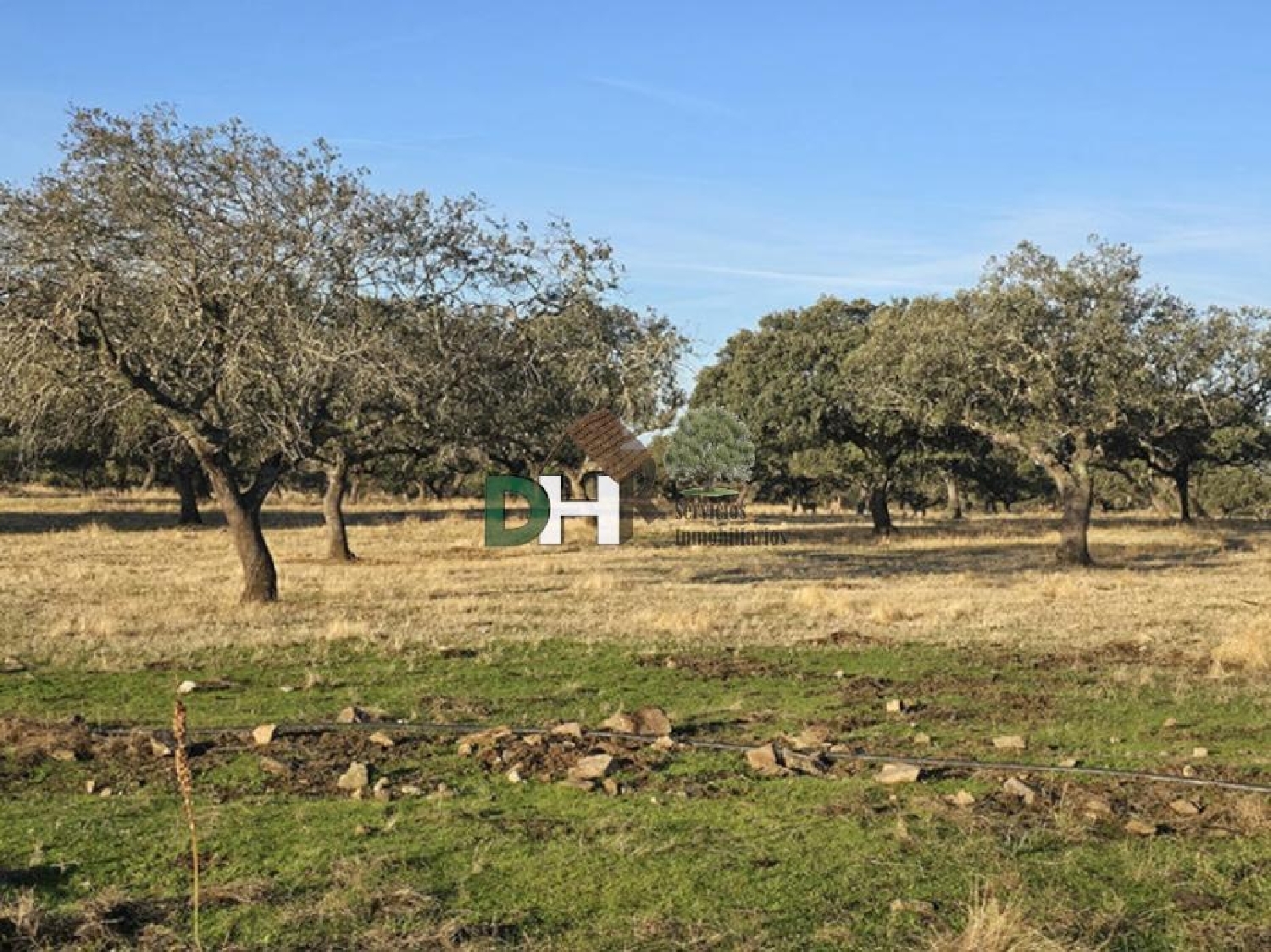  en venta terreno Badajoz Casco Antiguo-Centro Badajoz 3