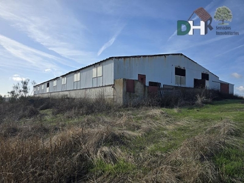 Badajoz Casco Antiguo-Centro Badajoz terreno foto 6323732