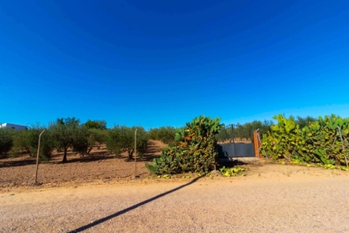 Badajoz Casco Antiguo-Centro Badajoz tomt foto 6321603