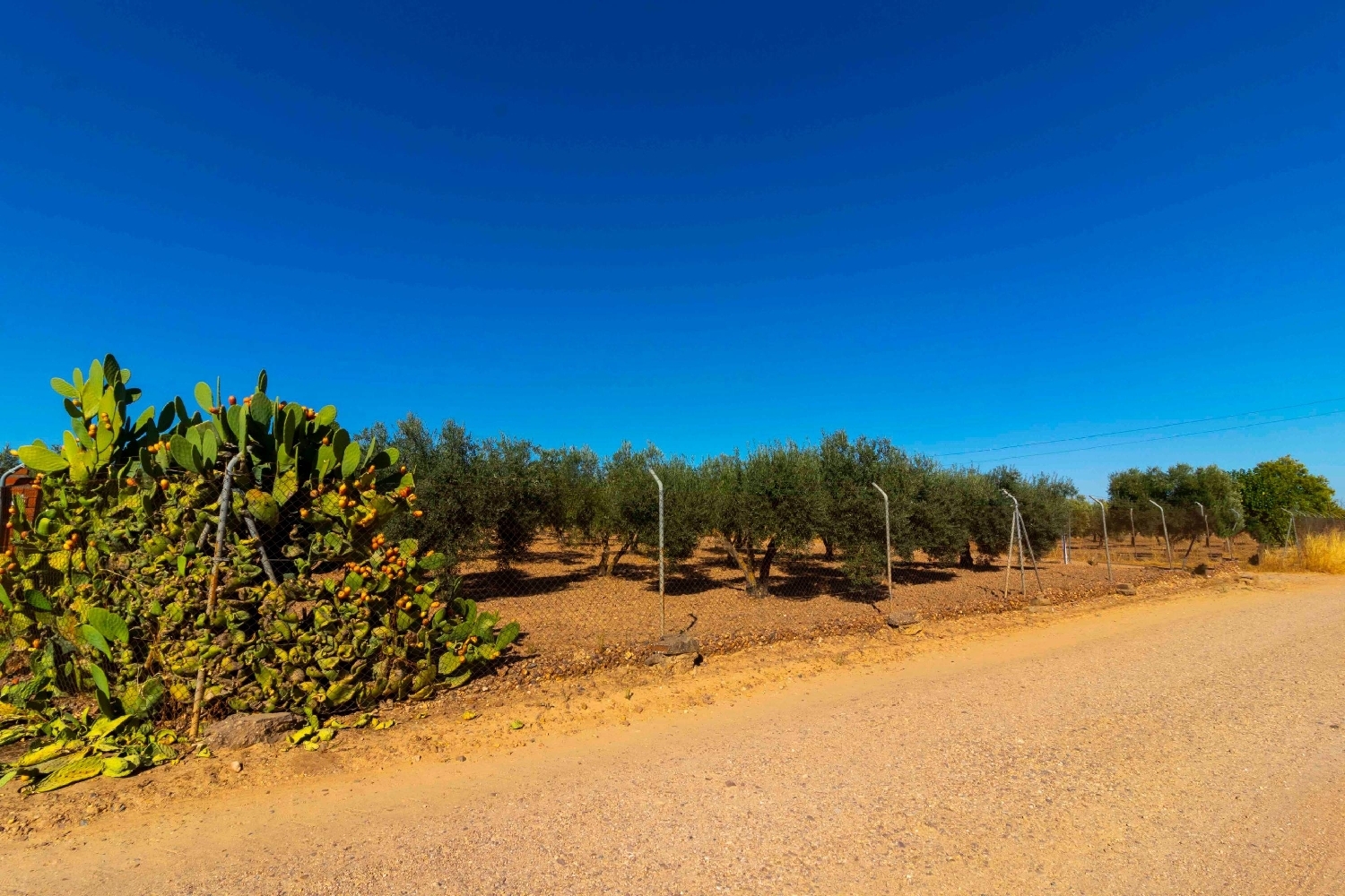 till salu tomt Badajoz Casco Antiguo-Centro Badajoz 8