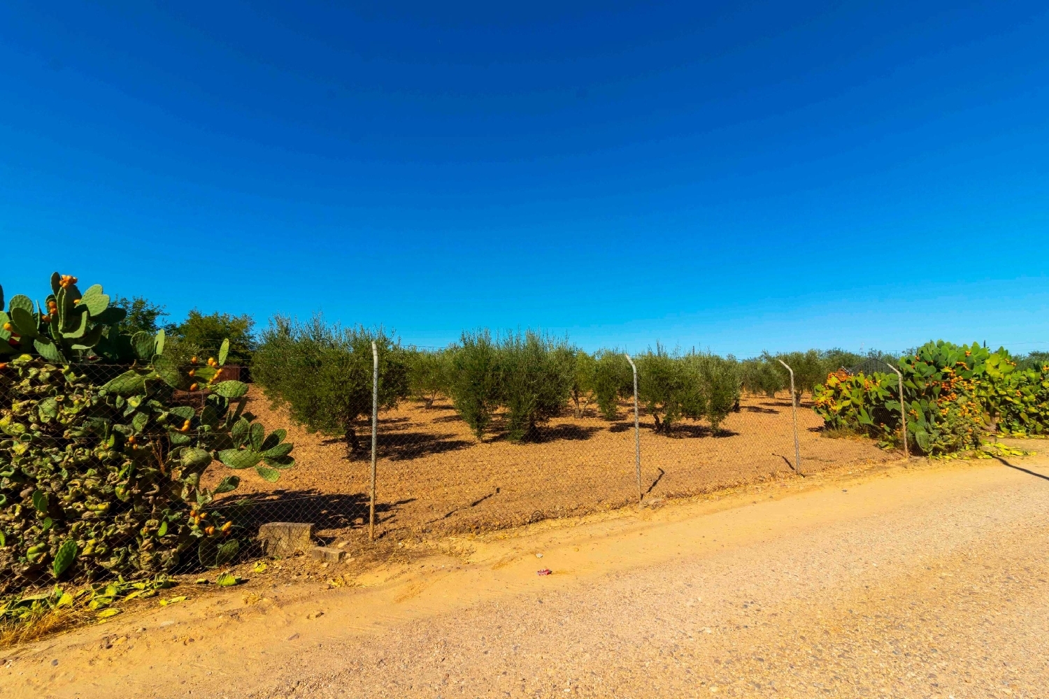 till salu tomt Badajoz Casco Antiguo-Centro Badajoz 3