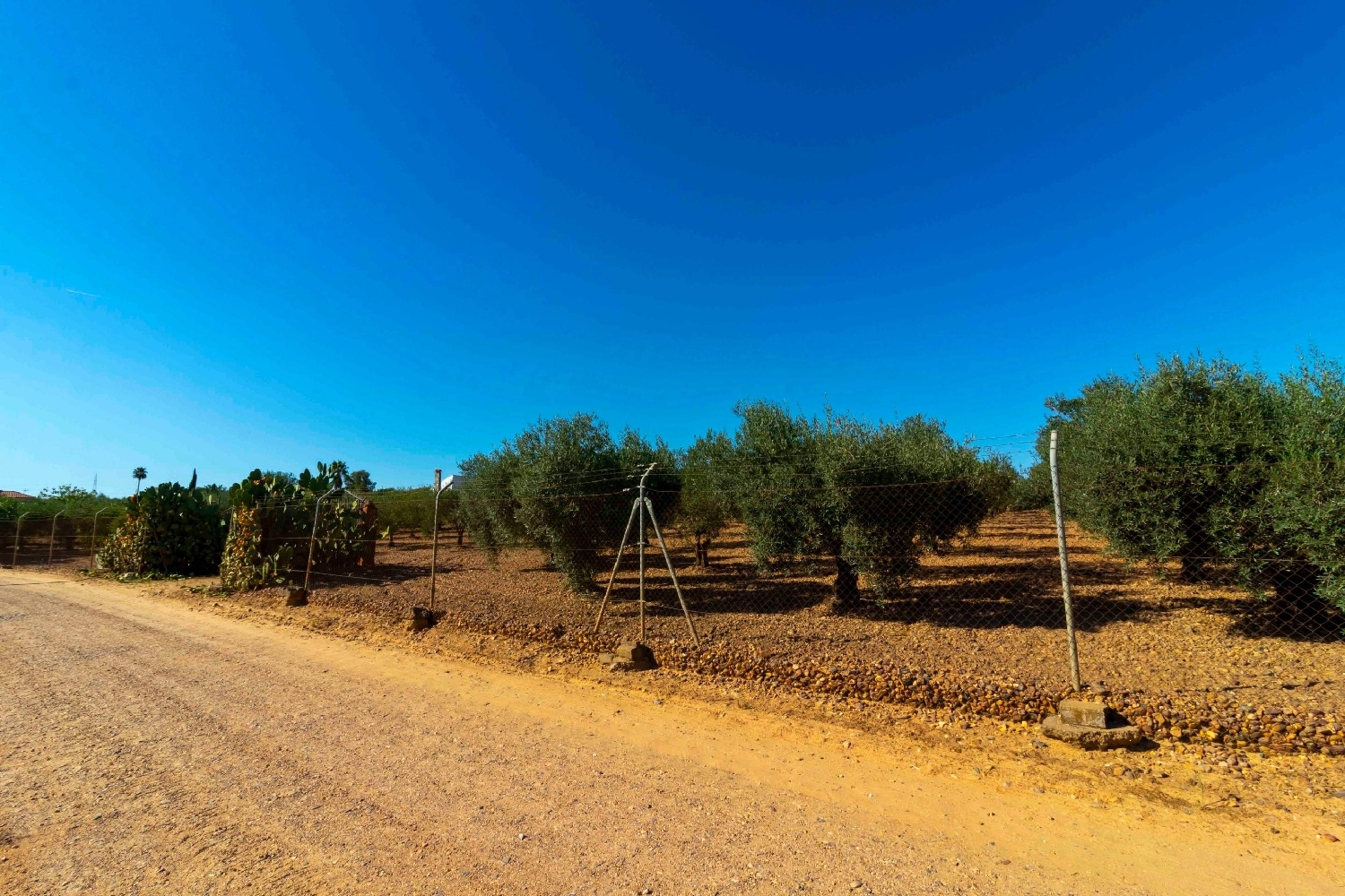 till salu tomt Badajoz Casco Antiguo-Centro Badajoz 7