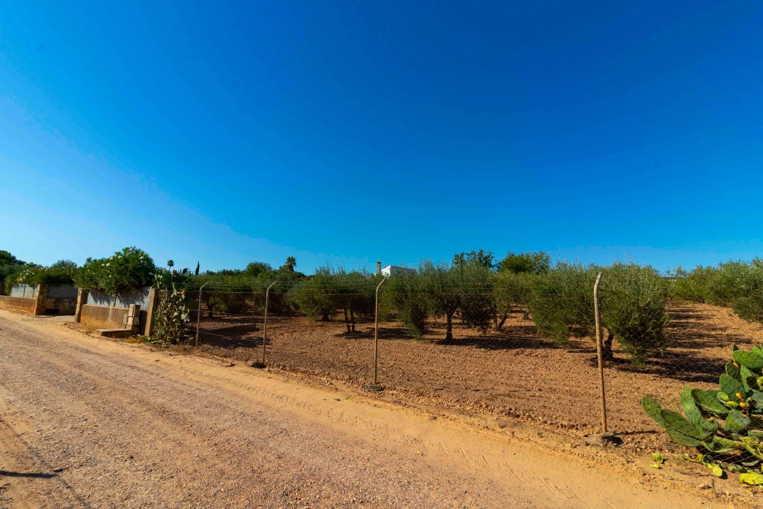 till salu tomt Badajoz Casco Antiguo-Centro Badajoz 2