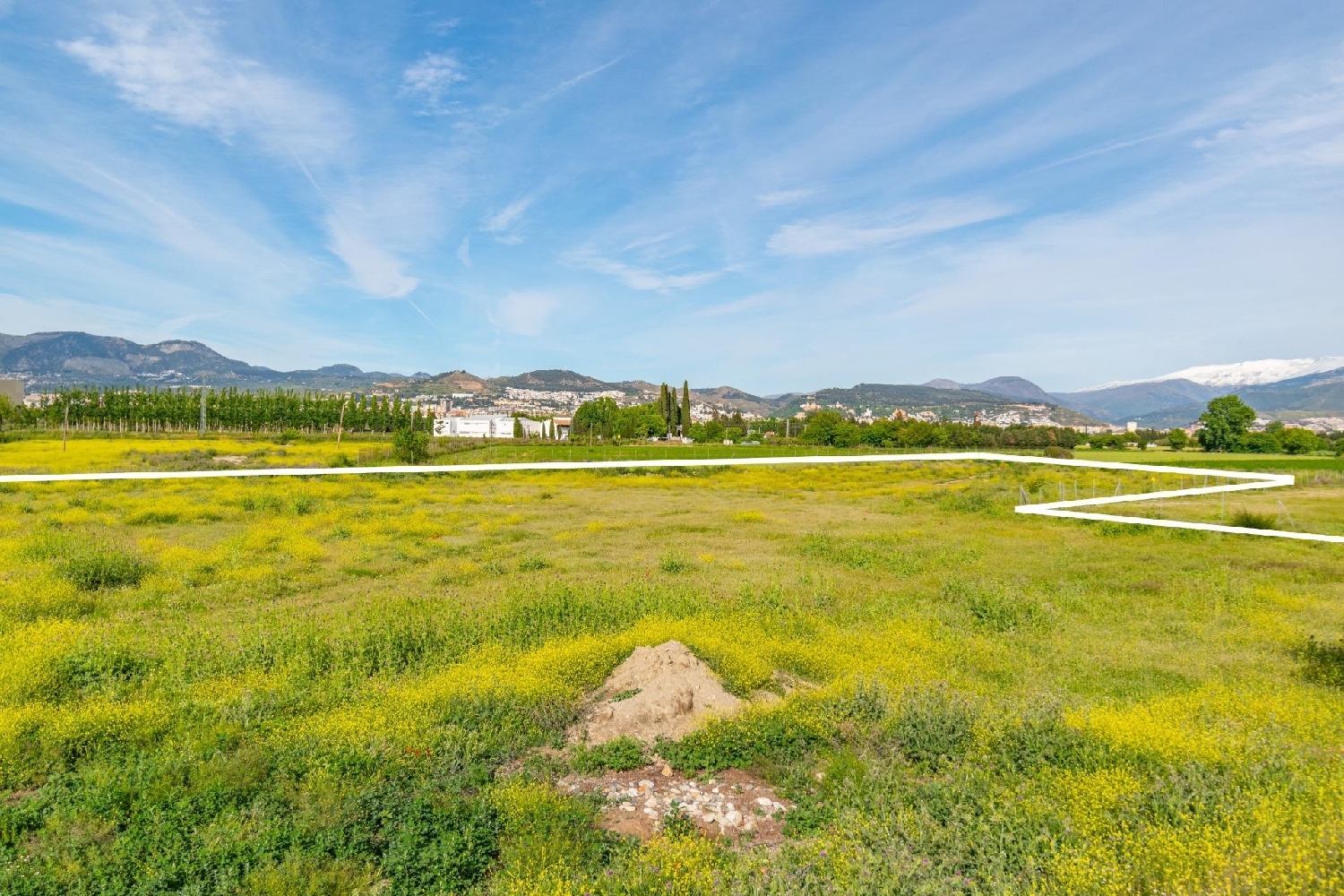 for sale plot Barrio De Granada Alacantí 4