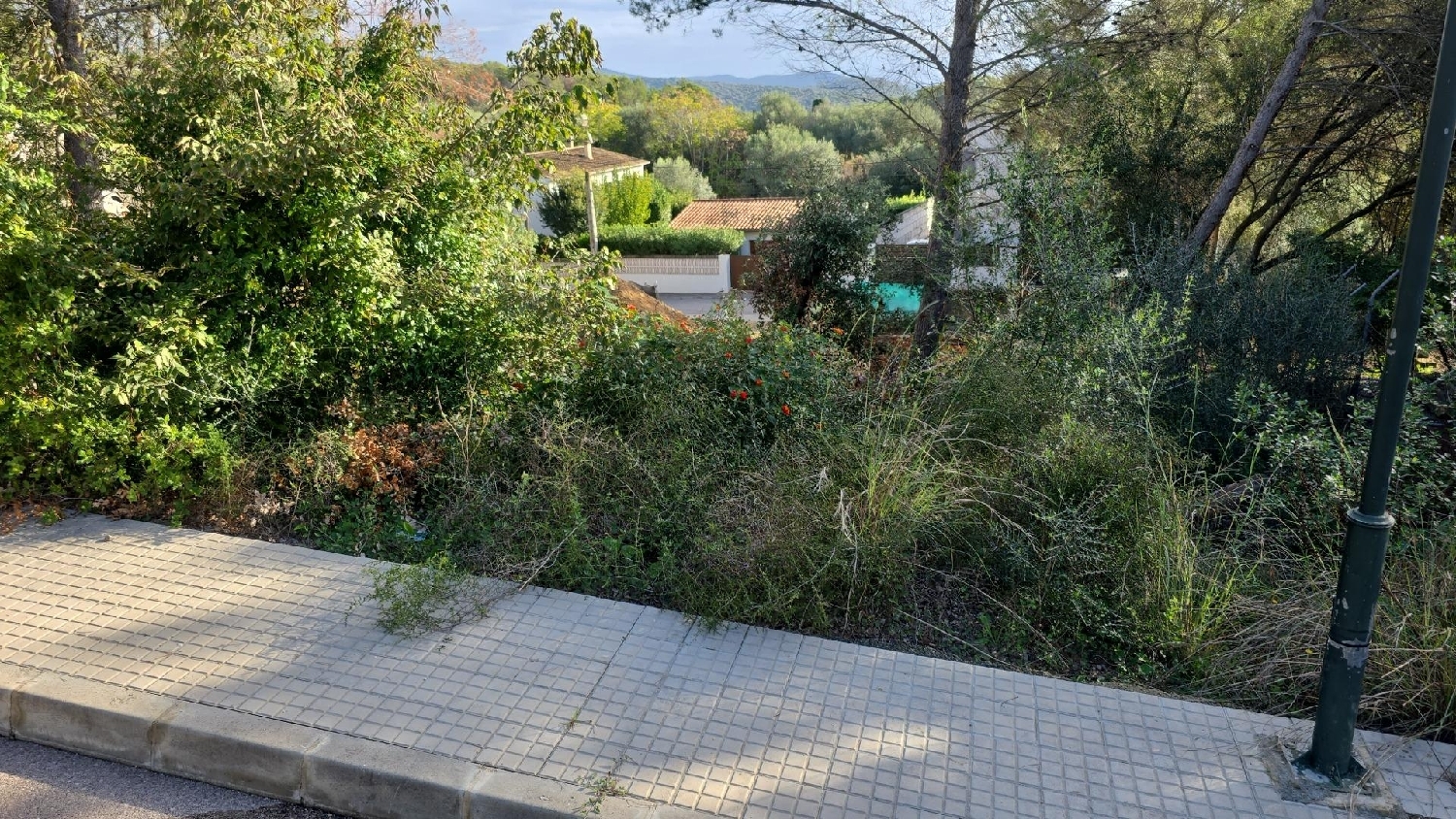  for sale plot Campanet Raiguer 5