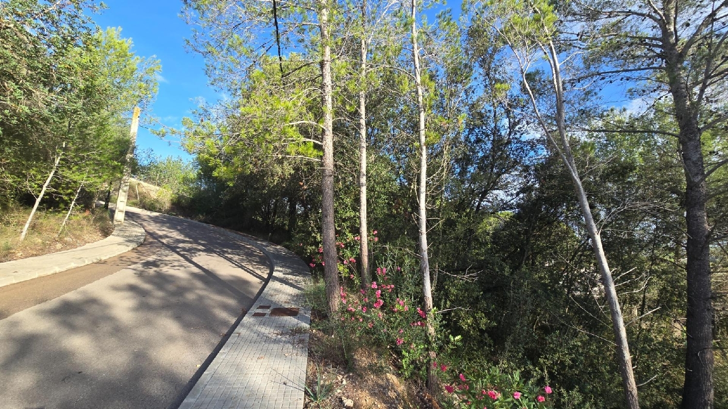  for sale plot Campanet Raiguer 8